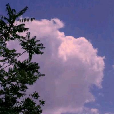 海尔驰援西藏日喀则地震灾区 首批物资已送达