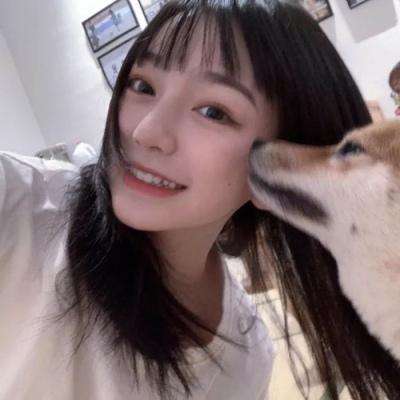 猫小帅超市游戏下载
